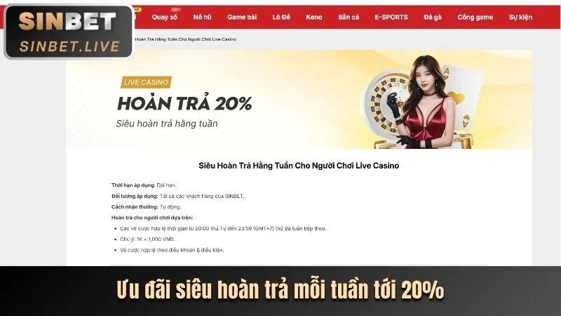 Các loại tiền thưởng casino trực tuyến và điều khoản đi kèm
